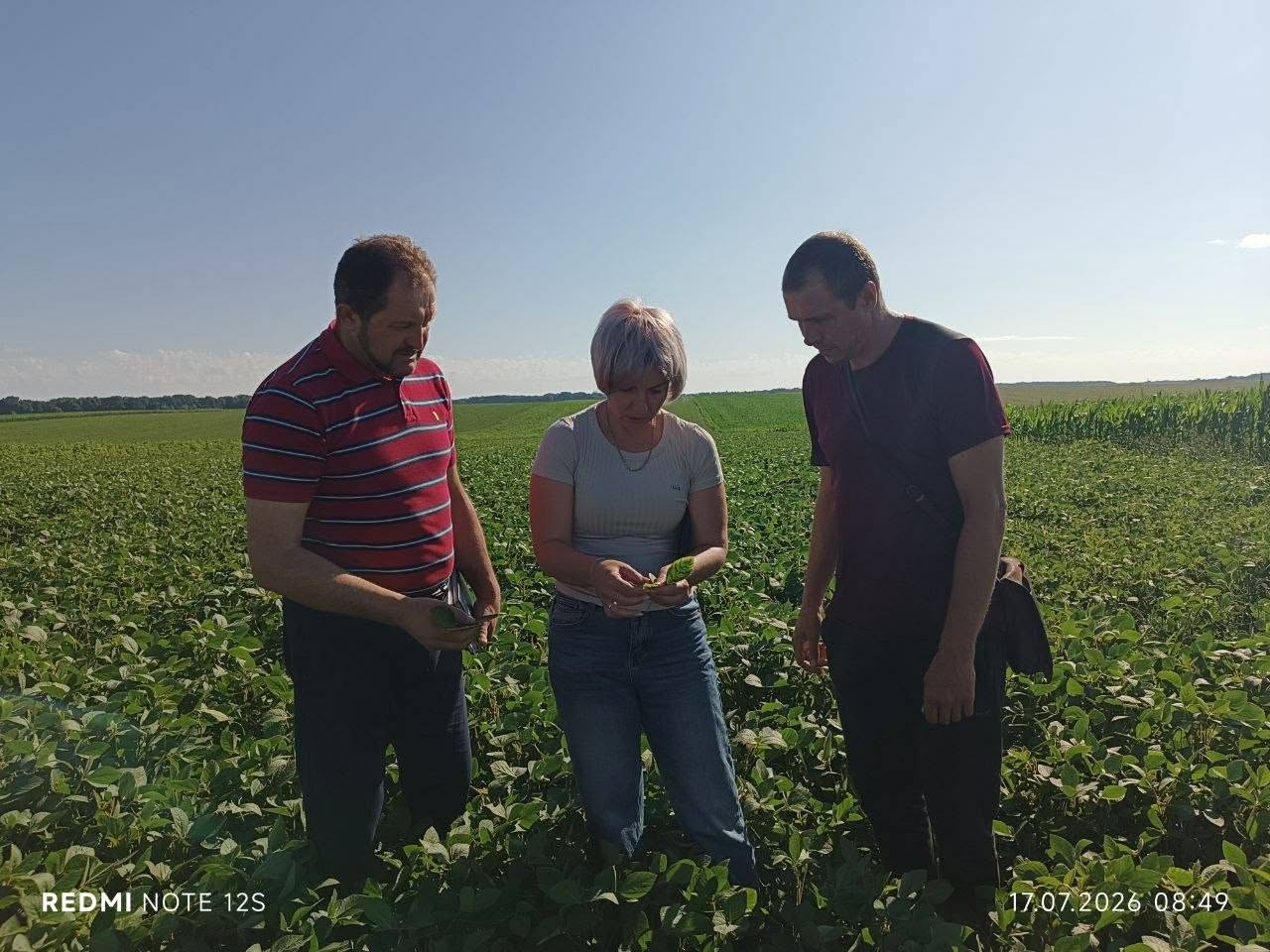 Комплексне агрономічне обстеження посівів сої – ефективний інструмент своєчасного виявлення проблем та прийняття обґрунтованих рішень