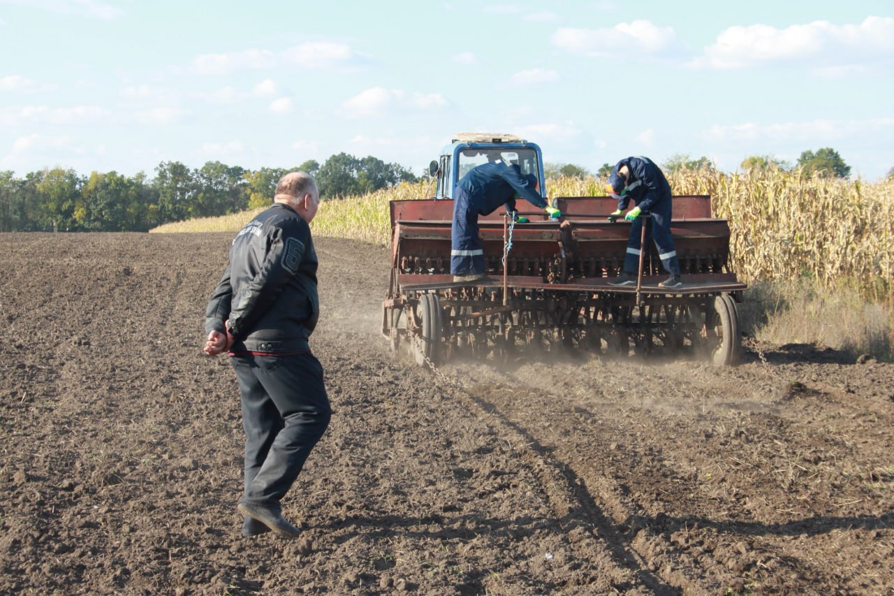 ВІД ТЕОРІЇ ДО ПРАКТИКИ: СІВБА ОЗИМОЇ ПШЕНИЦІ СОРТУ «ПАБАТКА»
